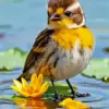 Yellow bird diamond painting kit — small bird beside a yellow water lily on a pond