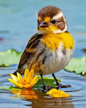 Yellow bird diamond painting kit — small bird beside a yellow water lily on a pond