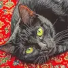 Black cat diamond painting kit with a cute black cat