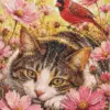 Cat and red cardinal bird diamond painting