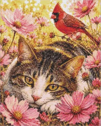 Cat and red cardinal bird diamond painting