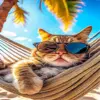 ool cat diamond painting kit with a stylish playful design