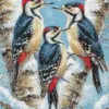 Woodpeckers birds diamond painting