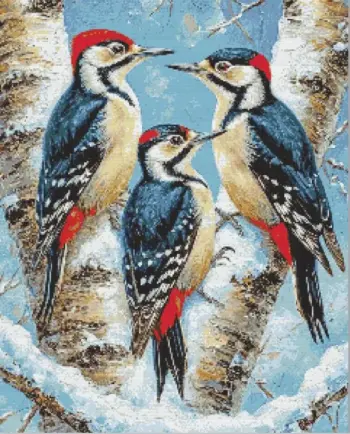 Woodpeckers birds diamond painting