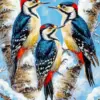 Woodpeckers birds diamond painting