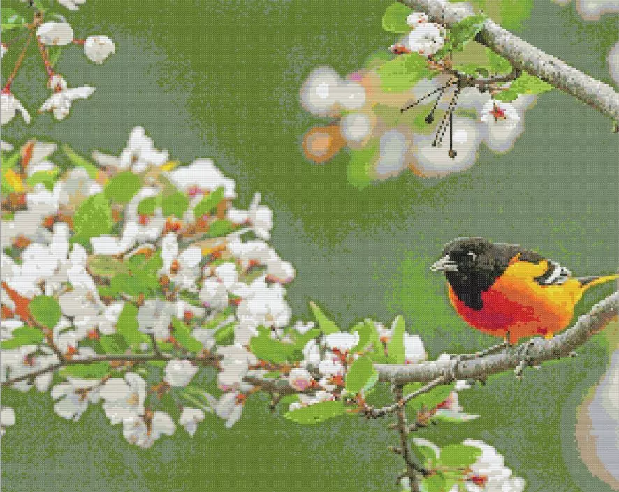 Baltimore Oriole Diamond Painting Kit