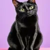 Black cat diamond painting kit — black cat with green eyes on a purple background