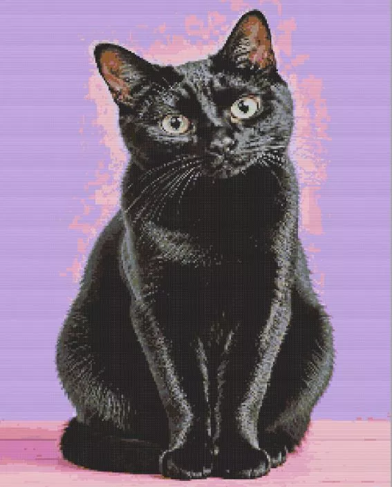 Black Cat Portrait Diamond Paints