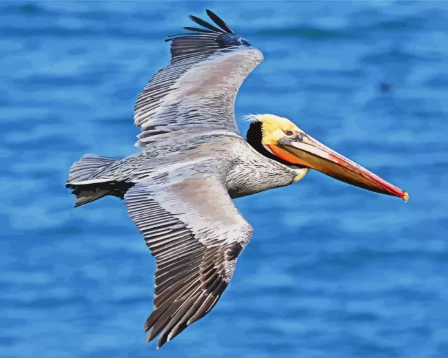 Brown pelican in flight Diamond Painting Kit Brown pelican diamond painting kit — pelican soaring over blue ocean water with wings outstretched