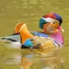 Colorful Mandarin Duck diamond painting kit — vibrant duck swimming in calm water with bright multicolored feathers
