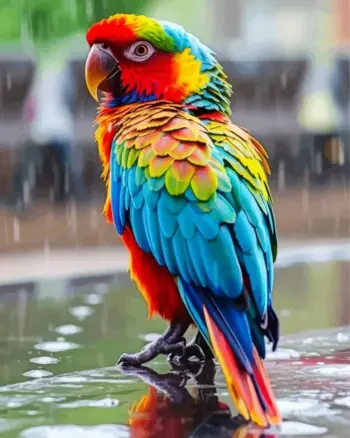 Colorful parrot diamond painting kit featuring a vibrant tropical bird with bright feathers in the rain