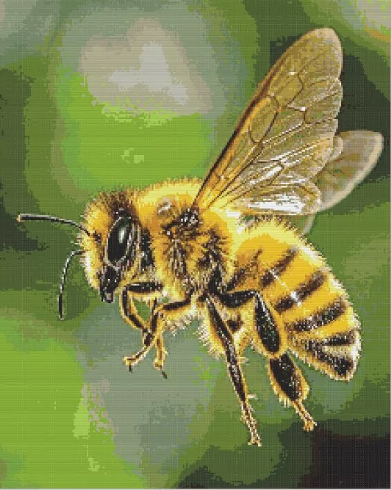 Golden Honey Bee Diamond Paints