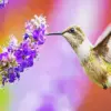 Golden hummingbird diamond painting kit — small golden-green hummingbird feeding from vibrant purple flowers