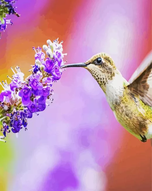 Golden Hummingbird Diamond Painting Kits Golden hummingbird diamond painting kit — small golden-green hummingbird feeding from vibrant purple flowers