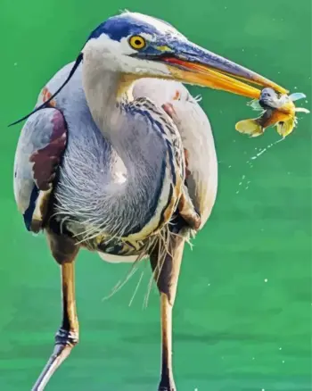 Great blue heron diamond painting kit featuring an elegant bird with blue-gray feathers and a long neck