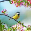 Great Tit diamond painting kit — yellow songbird perched on a branch surrounded by pink blossoms