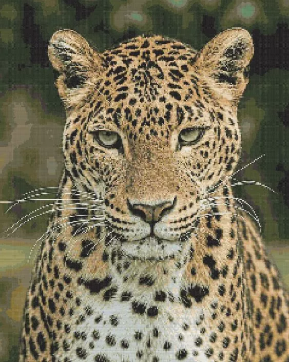 Leopard Portrait Diamond Painting Kit
