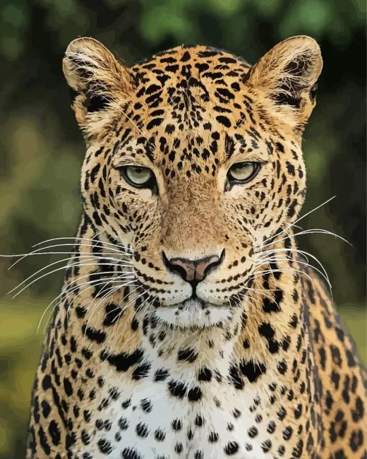 Leopard Portrait Diamond Painting Kits Leopard portrait diamond painting kit — close-up of a majestic leopard with green eyes and golden spotted fur