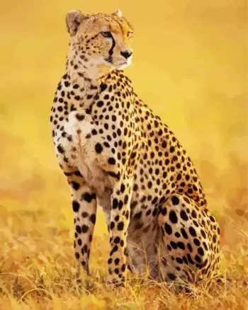 Majestic Cheetah diamond painting kit — spotted cheetah sitting in golden savanna grass