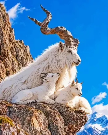 Mountain Goat Family diamond painting kit — white mountain goat with two young kids resting on a rocky cliff