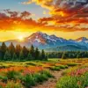 Wildflower meadow path beneath snowy mountains and a golden sunset