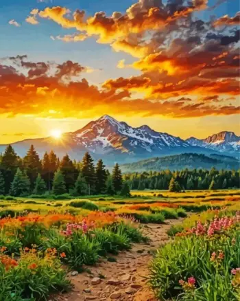 Wildflower meadow path beneath snowy mountains and a golden sunset