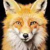 Red Fox Portrait diamond painting kit — close-up of a red fox with amber eyes and fluffy orange and white fur against a black background