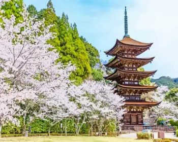 Kozan Park pagoda surrounded by cherry blossoms in Yamaguchi